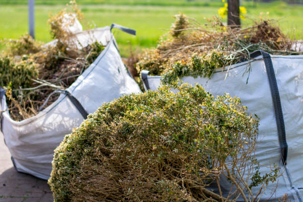 Full-Service Junk Removal in Geneva, AL